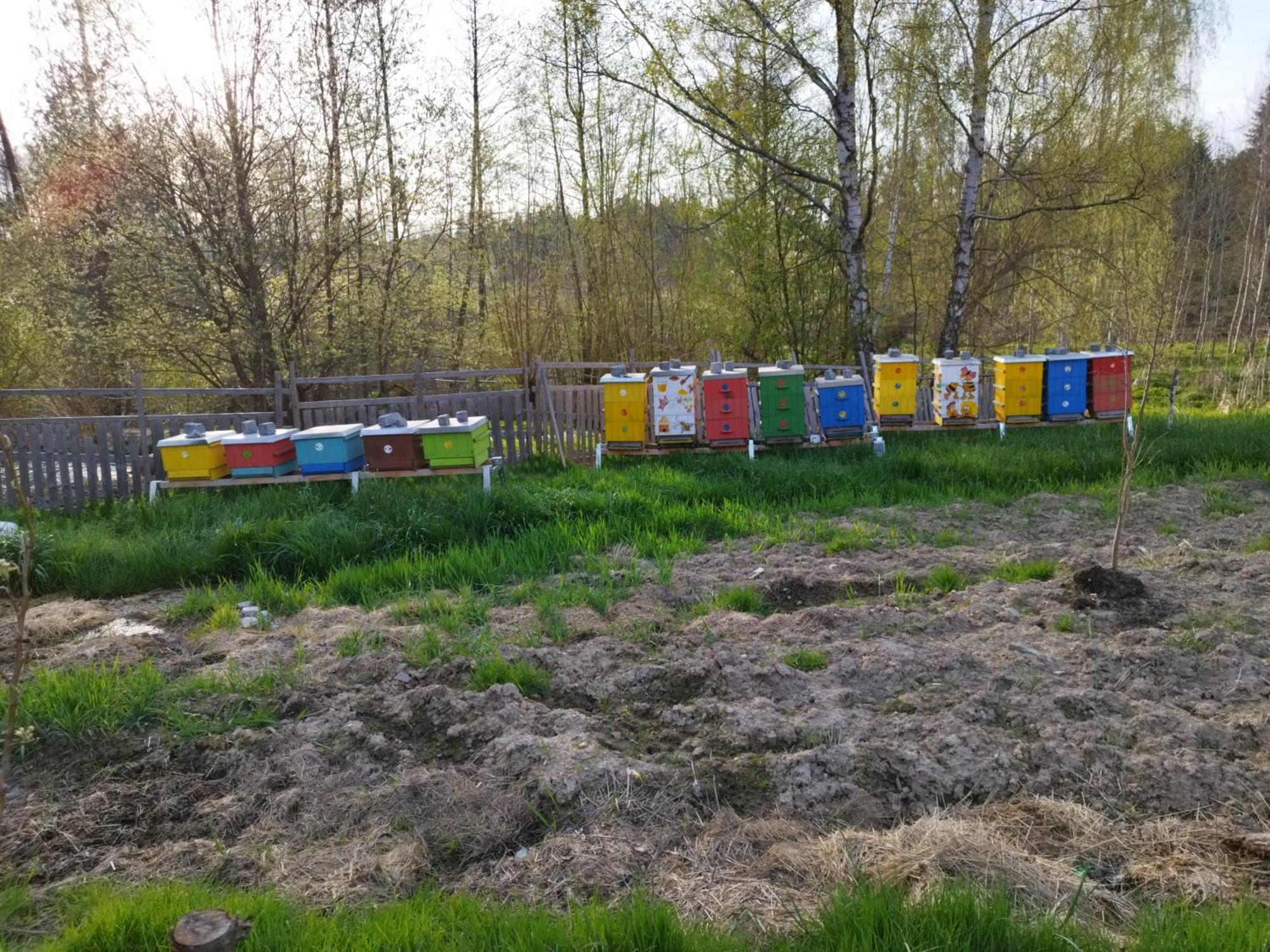 Farma U Lesa Daire Hlinsko Dış mekan fotoğraf