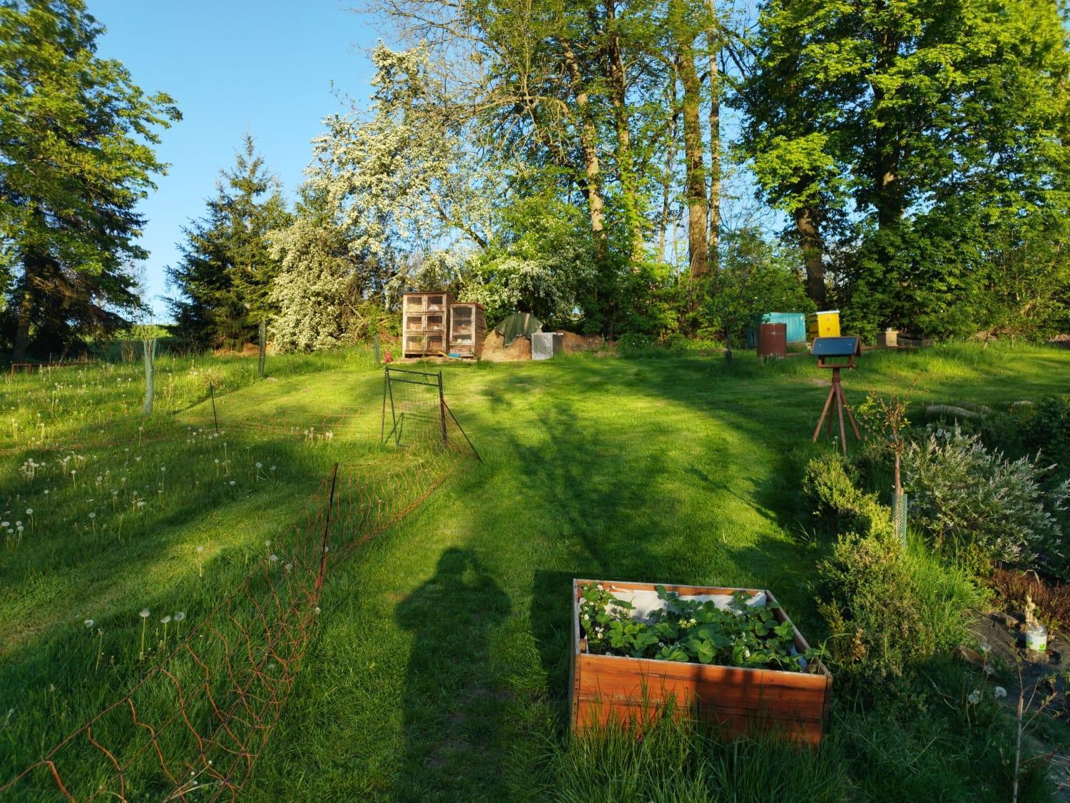 Farma U Lesa Daire Hlinsko Dış mekan fotoğraf